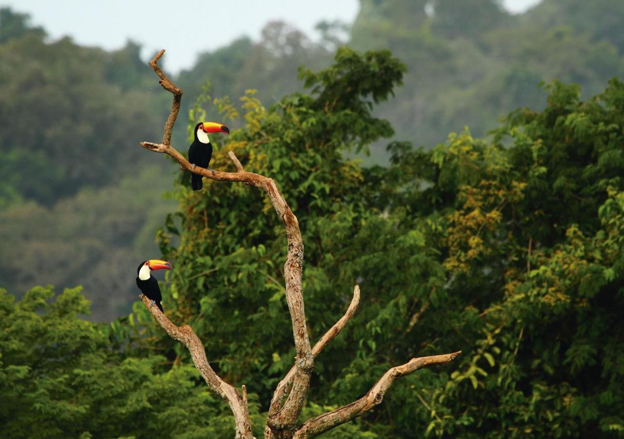 Mocona Virgin Lodge Saltos del Moconá المظهر الخارجي الصورة