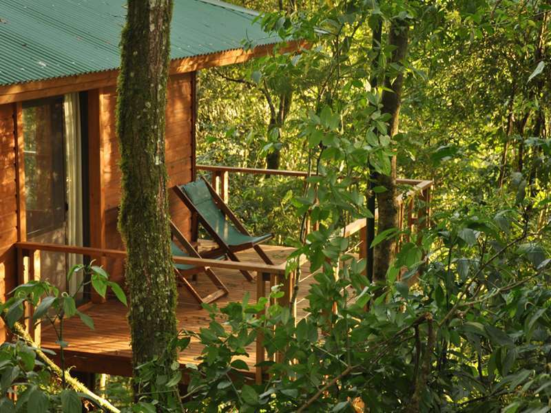 Mocona Virgin Lodge Saltos del Moconá وسائل الراحة الصورة