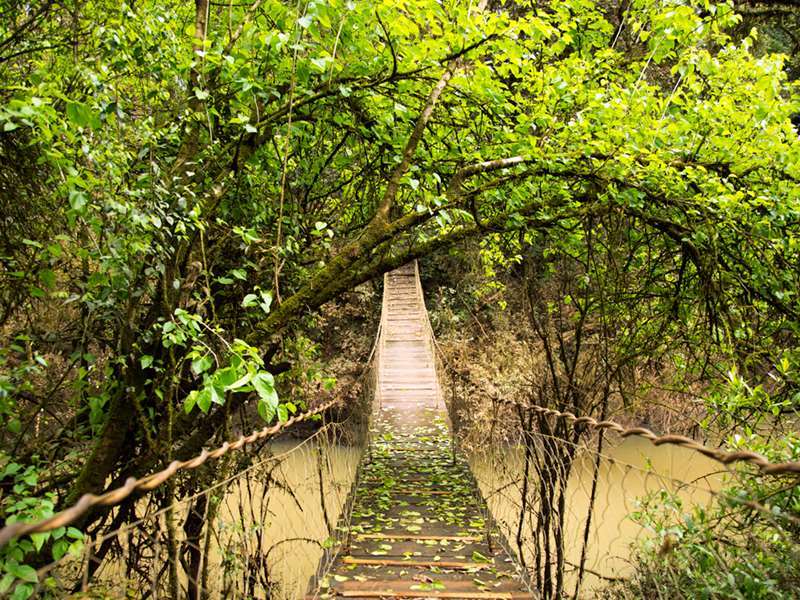 Mocona Virgin Lodge Saltos del Moconá المظهر الخارجي الصورة