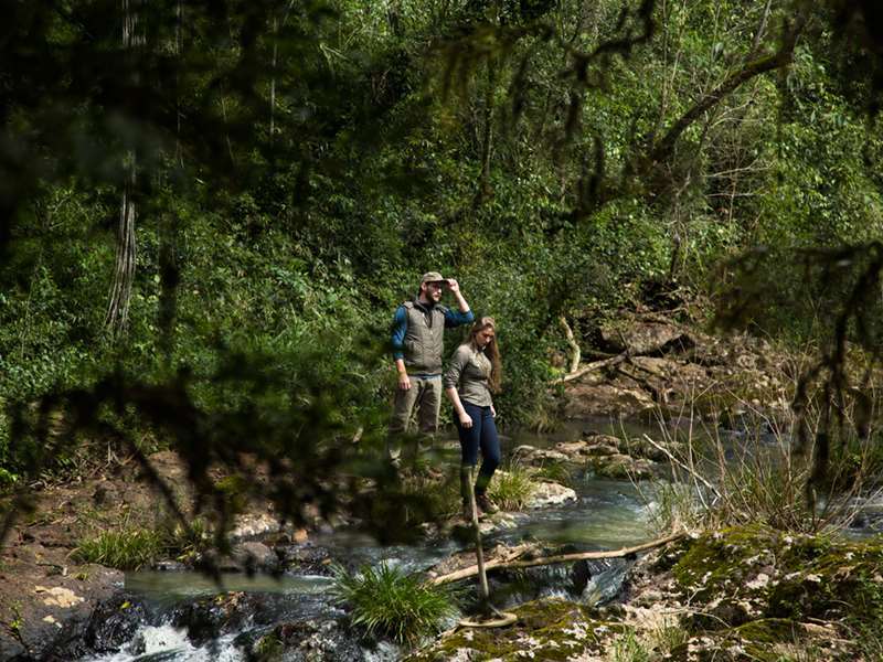 Mocona Virgin Lodge Saltos del Moconá وسائل الراحة الصورة